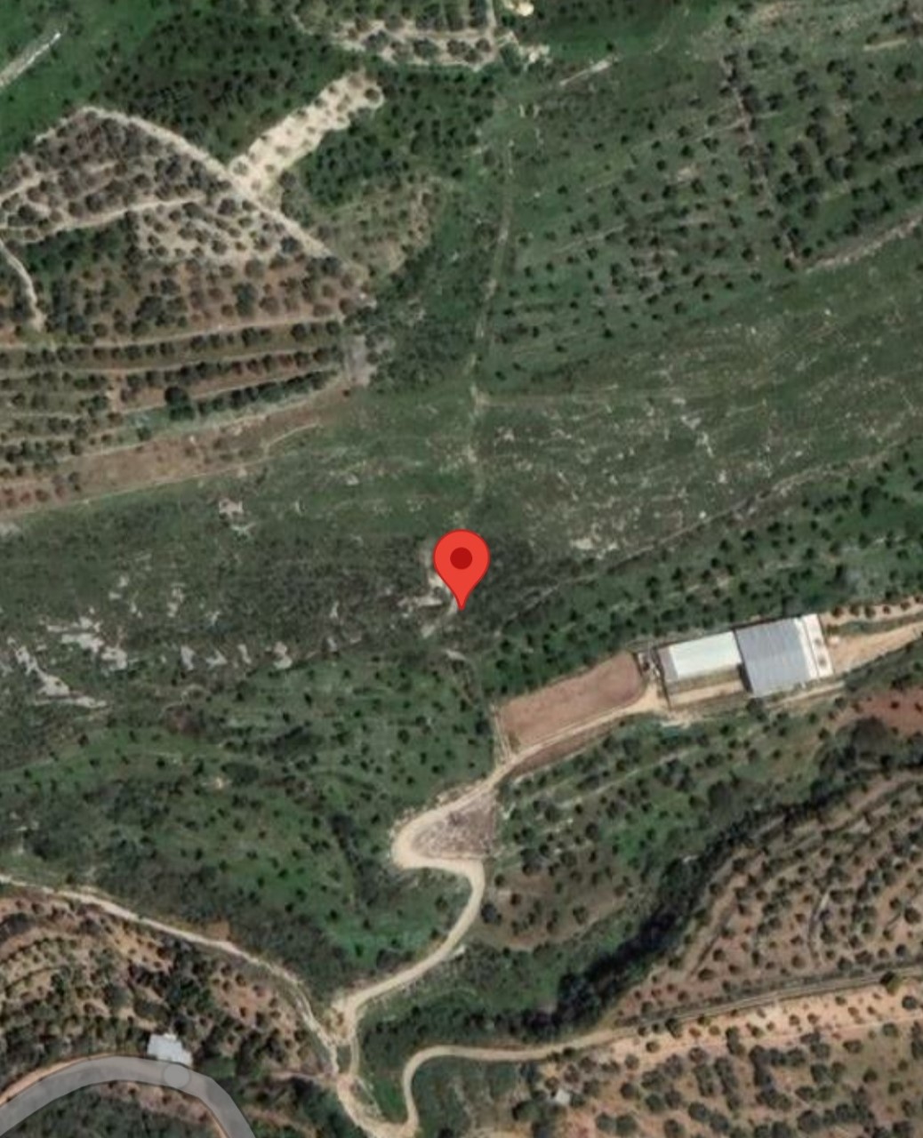 Dannieh location2